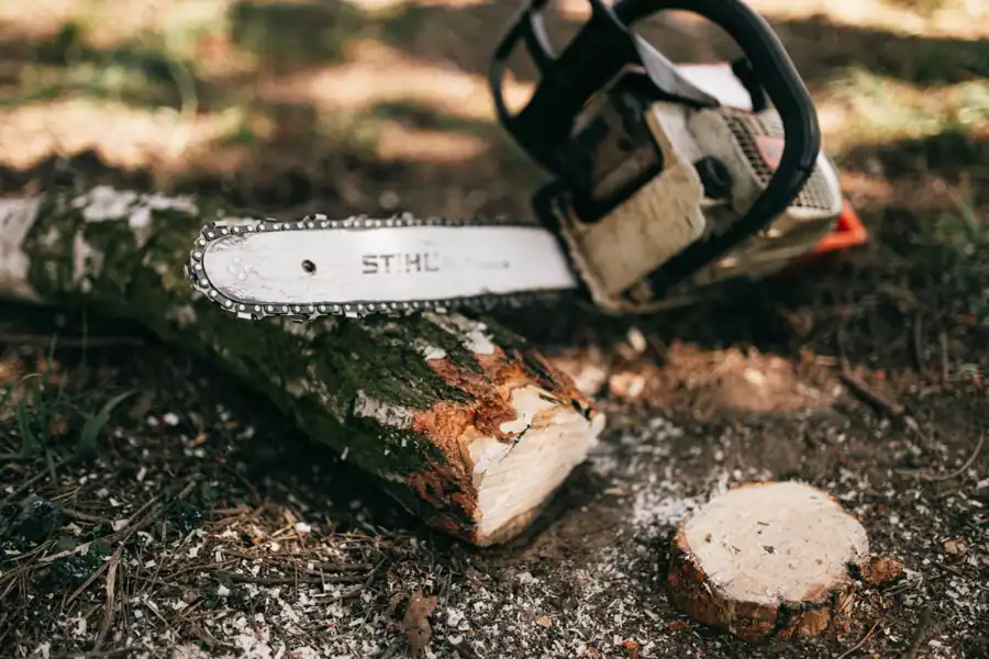 Имиджевый видеоролик "STIHL"
