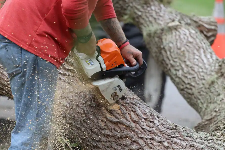 Креативный постер для компании STIHL